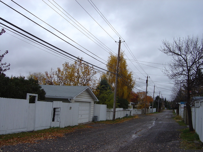 back alley